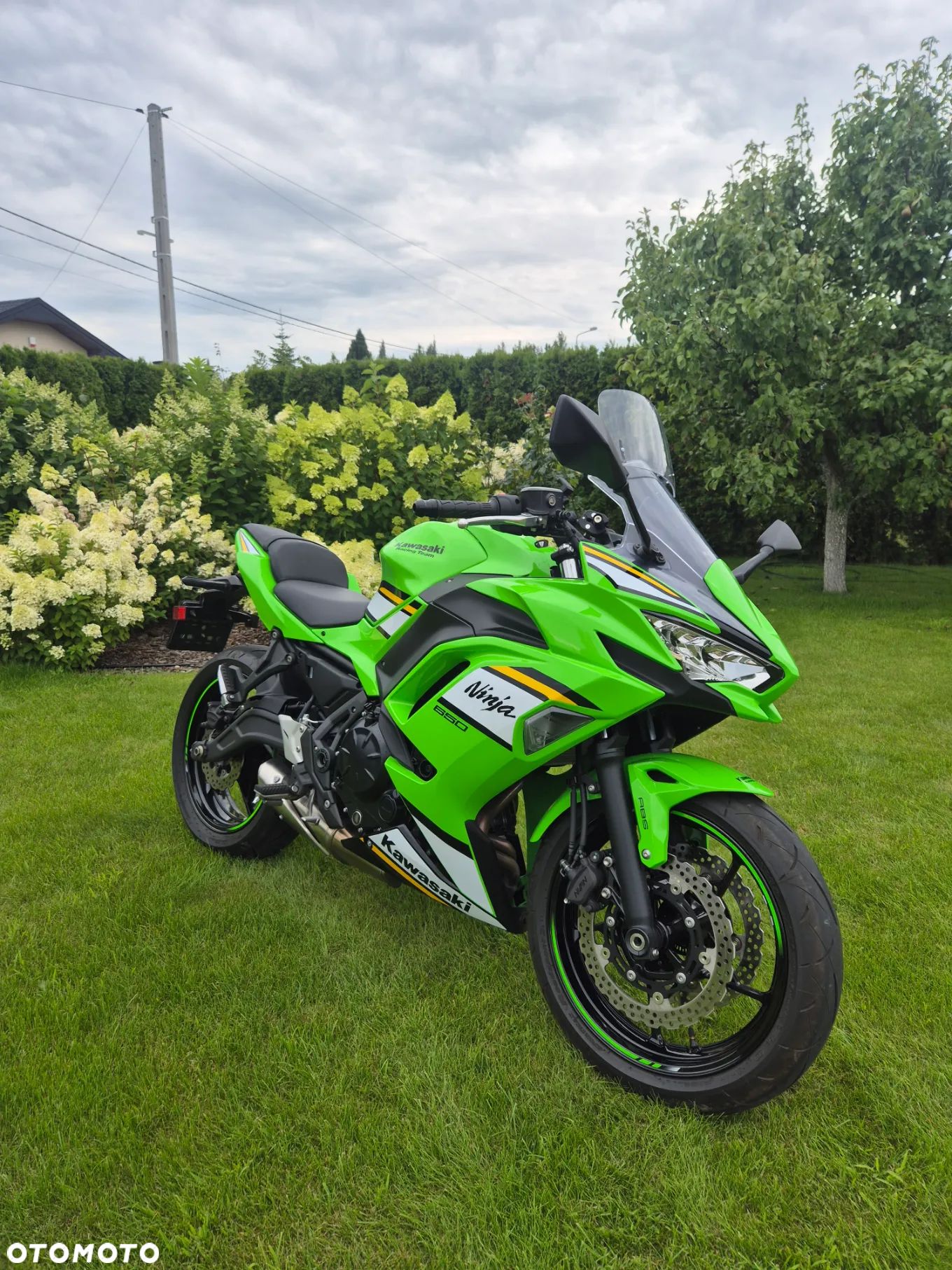 Kawasaki Ninja - 1