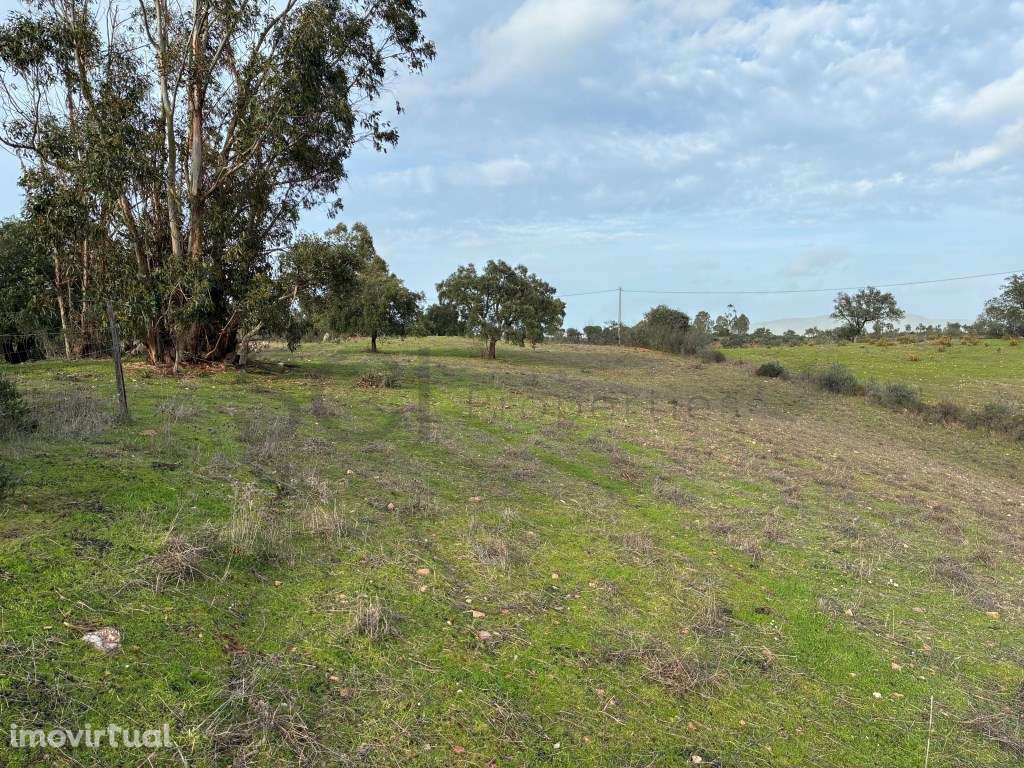 Quinta com ribeiro em Vila Nova de S. Bento no Alentejo ... - Grande imagem: 5/41