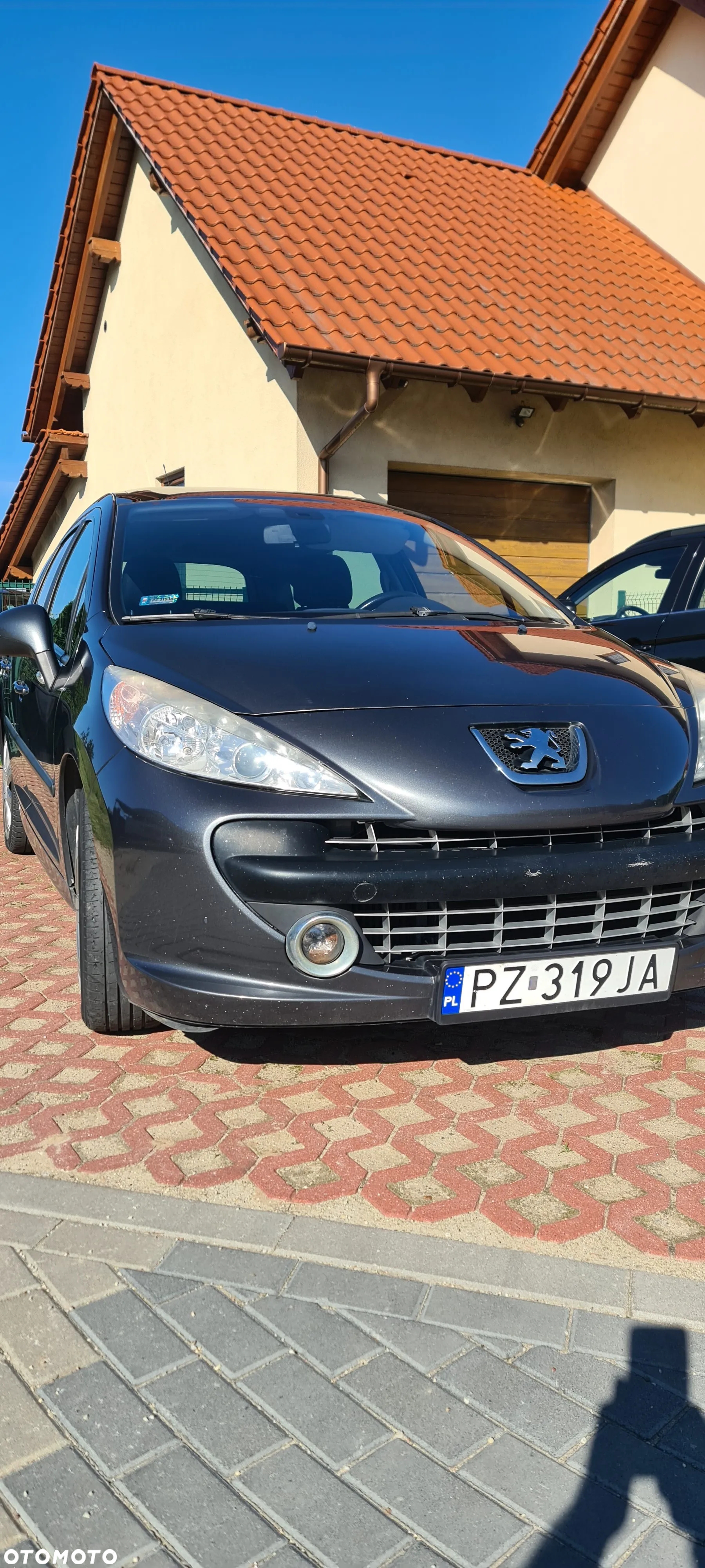 Peugeot 207 - 3