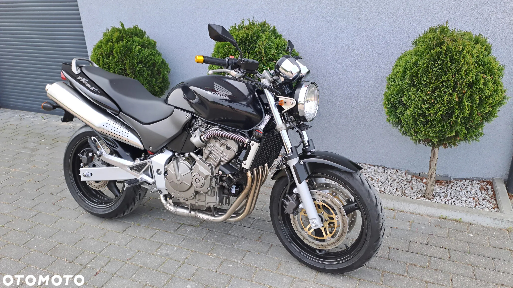 Honda Hornet - 3