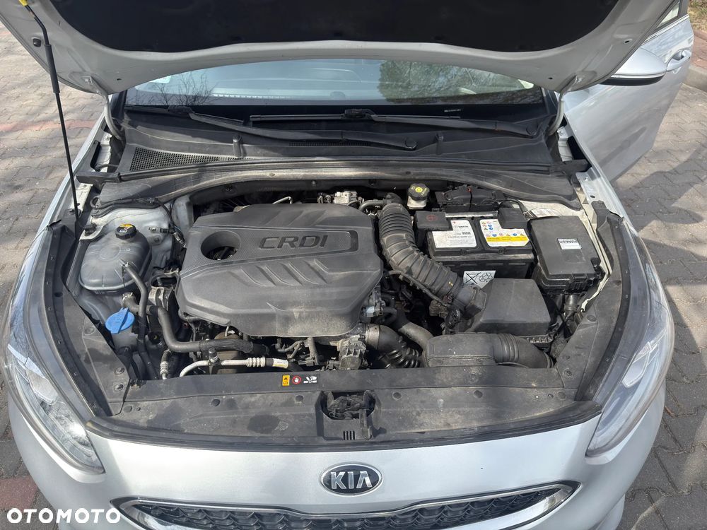Kia Ceed 1.6 CRDi mHEV L Business Line DCT - 15