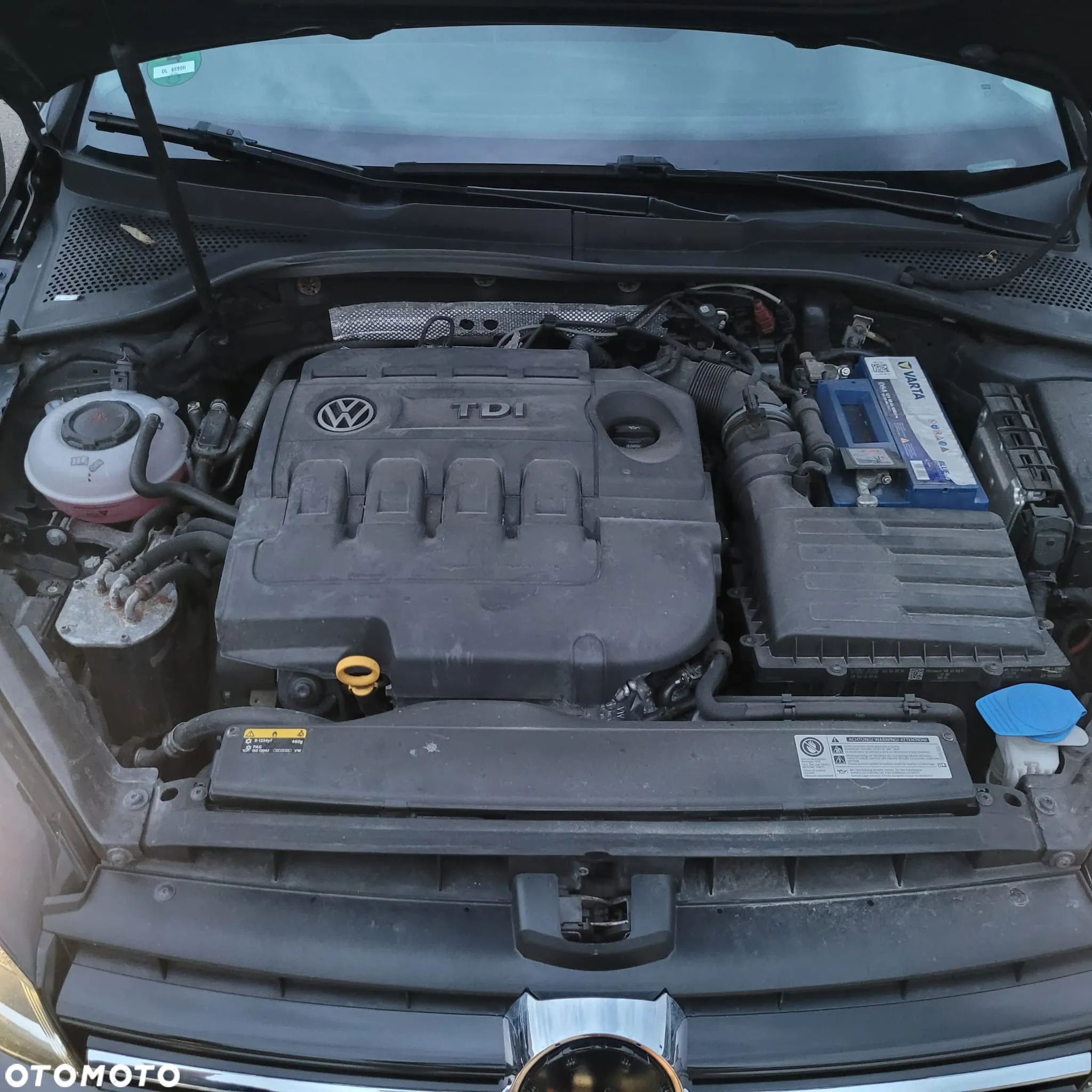 Volkswagen Golf - 20