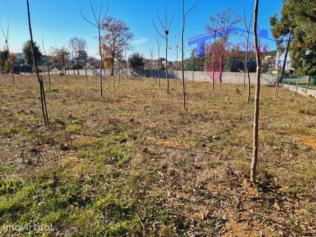Terreno com 7107m2, viabilidade de construção em Figueiró dos Vinhos - Grande imagem: 4/8