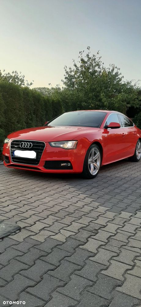 Audi A5 Sportback 3.0 TDI quattro DPF S tronic - 1
