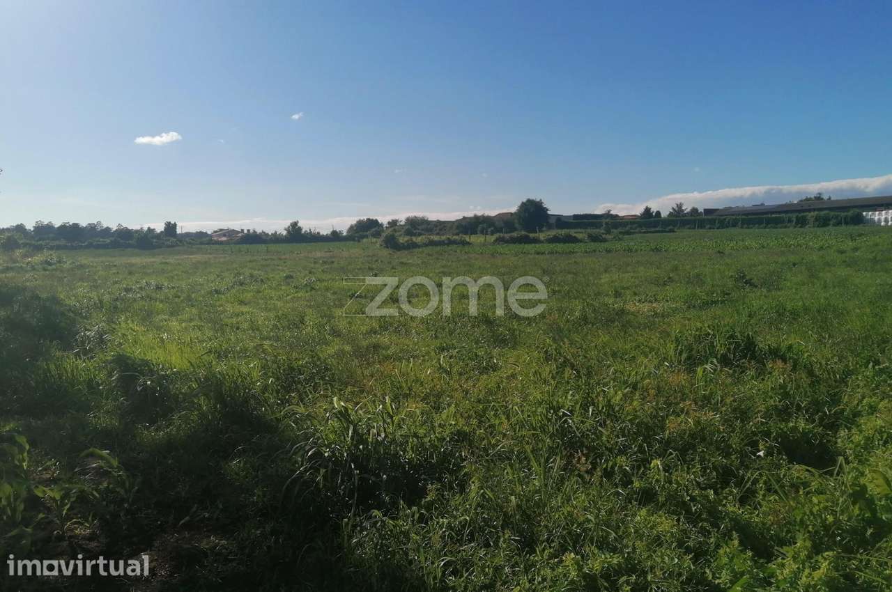 Terreno rústico com 5.000 M2 em Fradelos V.N. Famalicão - Grande imagem: 5/17