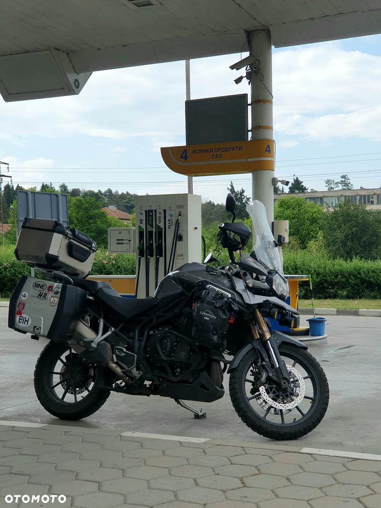 Triumph Tiger - 12