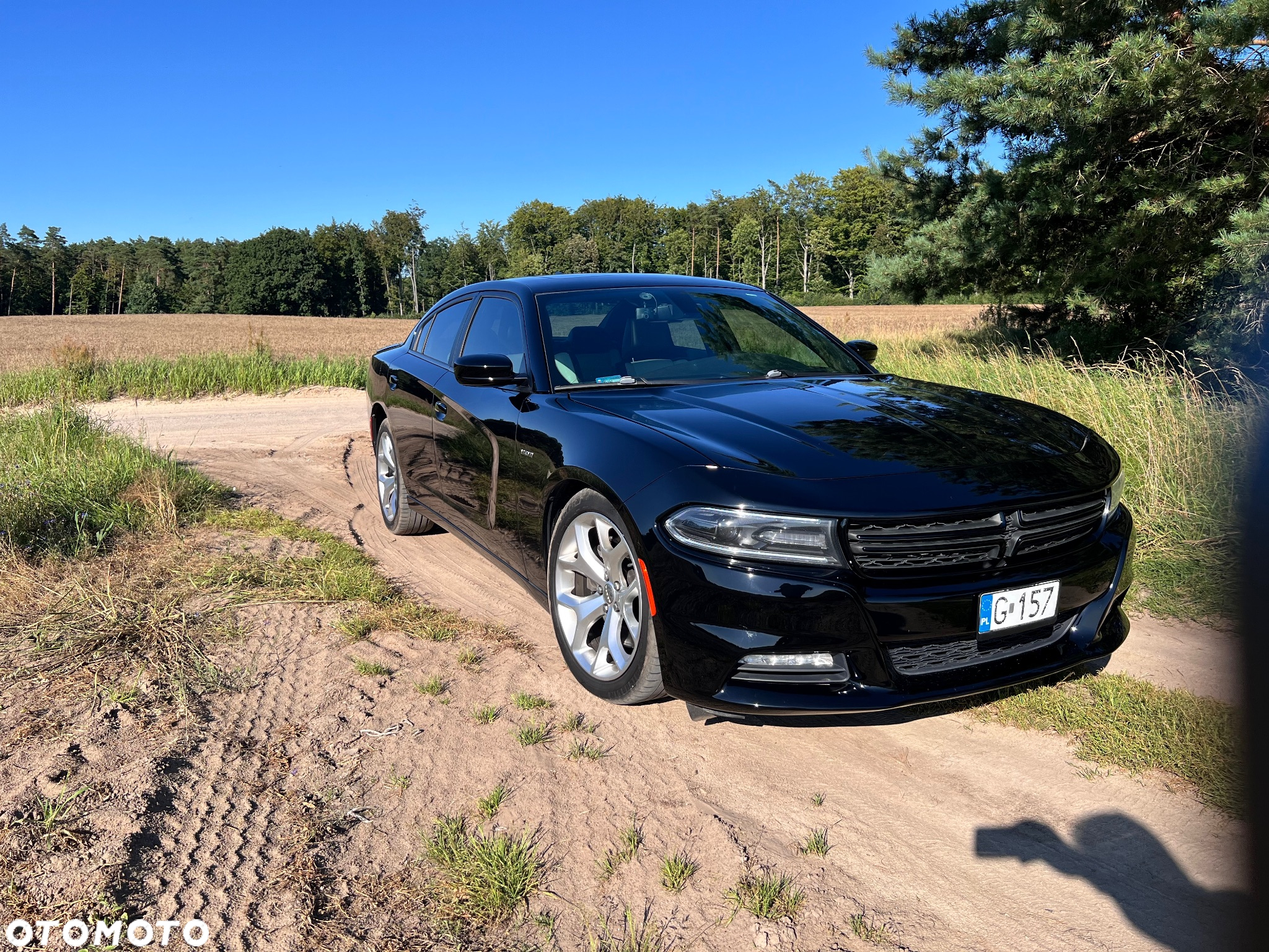 Dodge Charger - 4