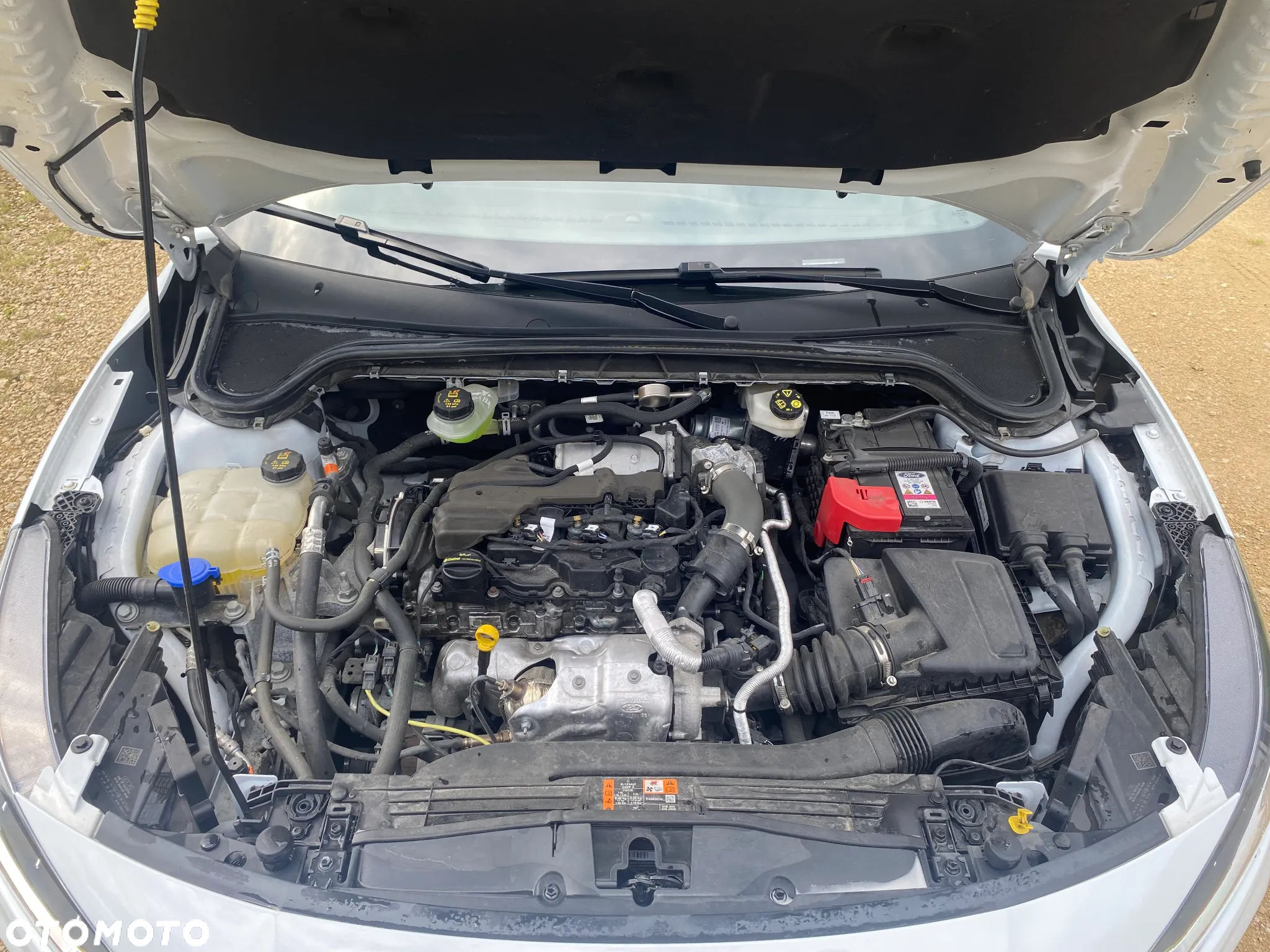 Ford Focus Turnier 1.5 EcoBlue Start-Stopp-System ST-LINE X - 17