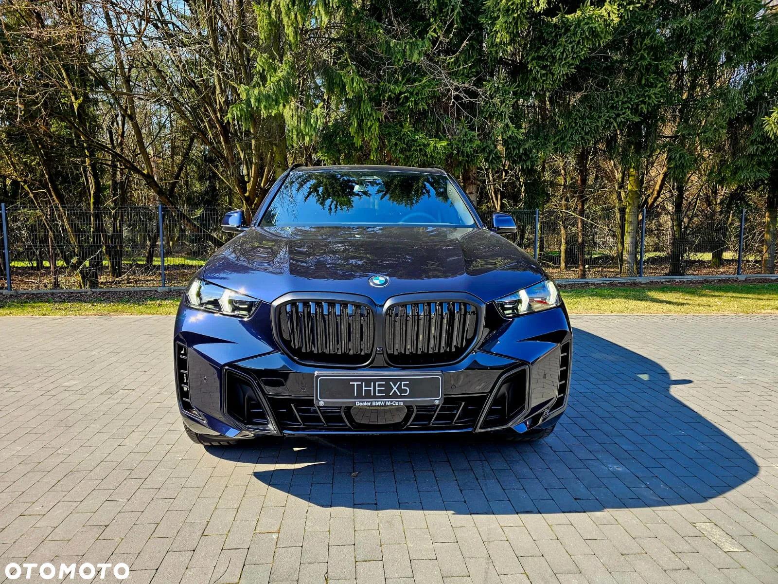 BMW X5 xDrive40i sport - 3