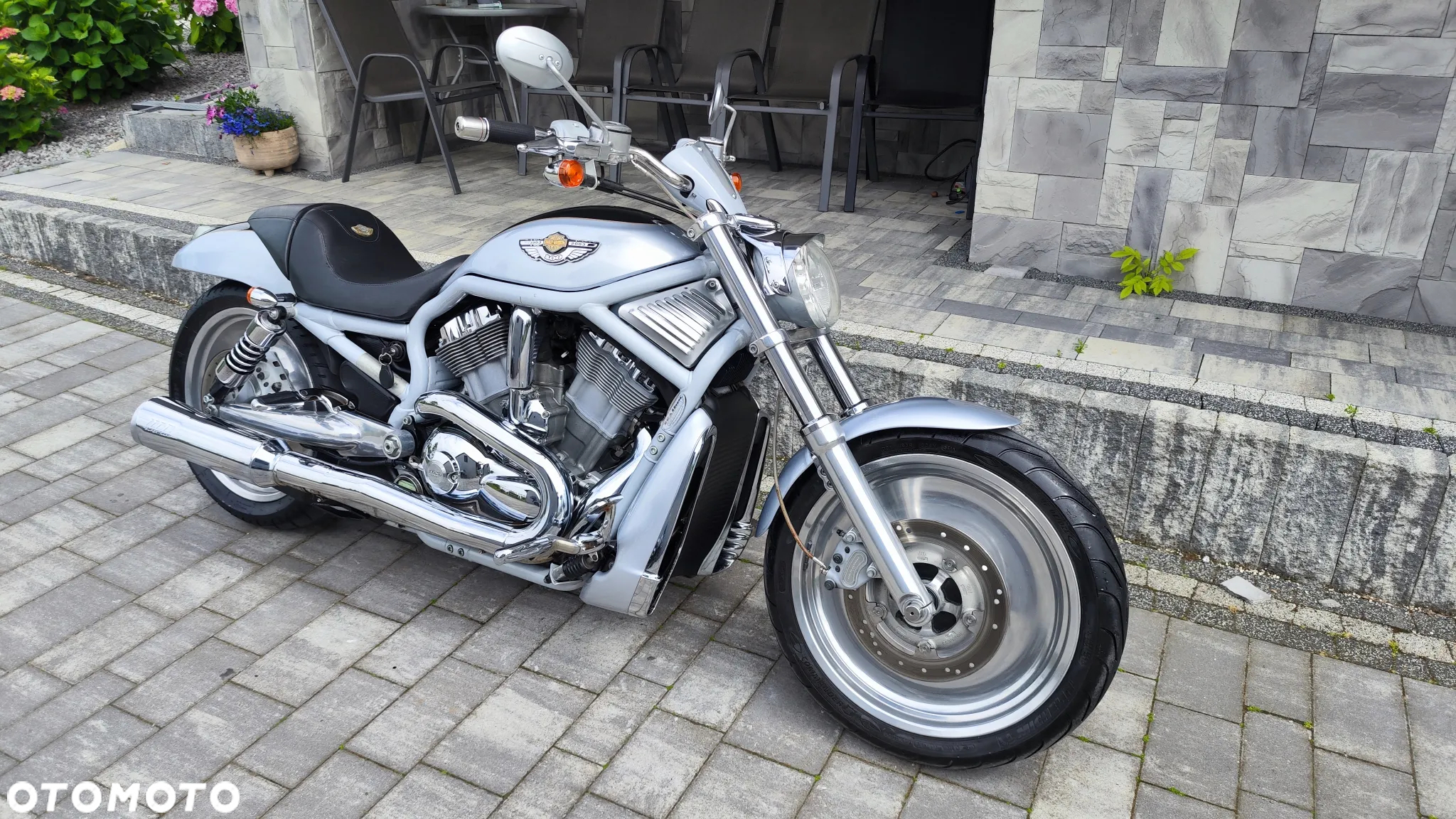 Harley-Davidson Softail V-Rod - 36