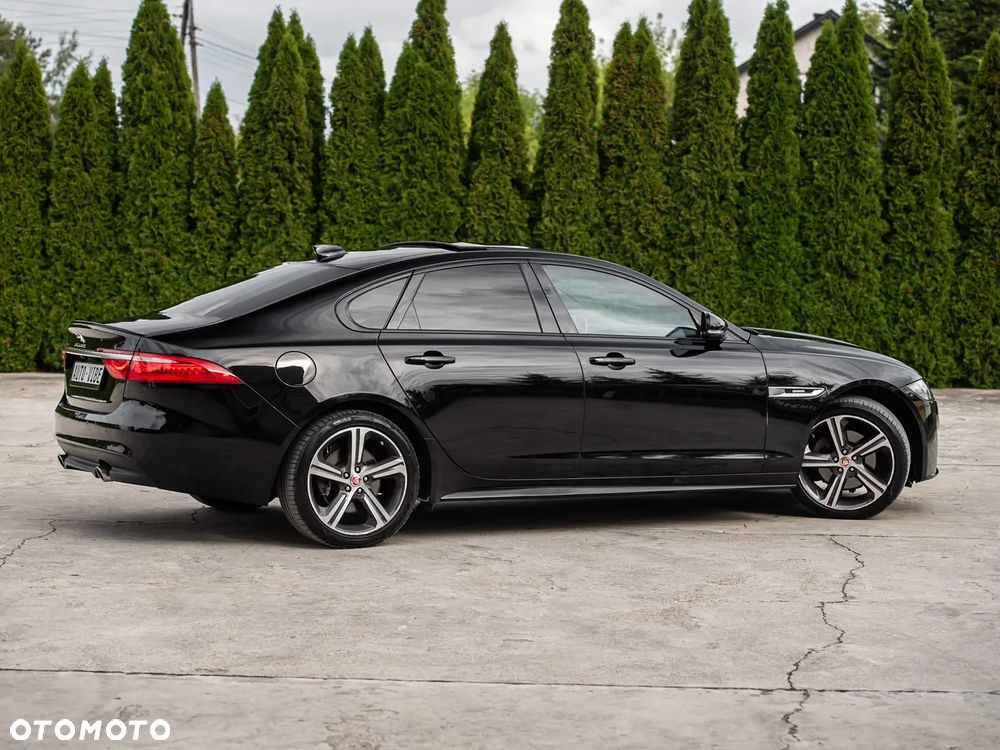 Jaguar XF P250 R-Dynamic BLACK - 14