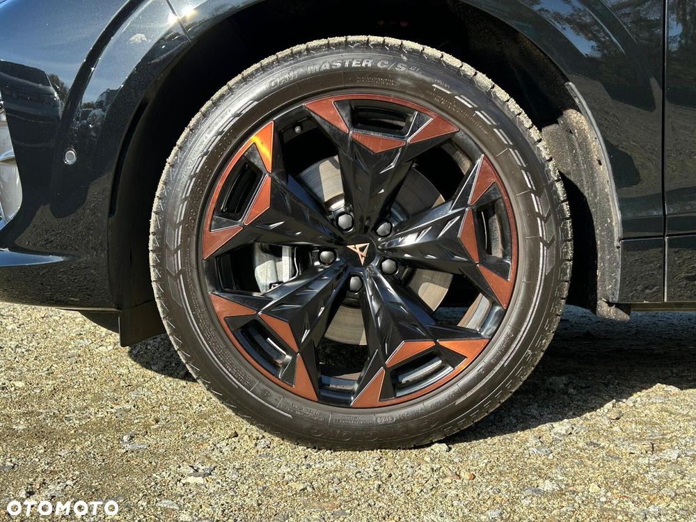 Cupra Terramar 2.0 TSI 4Drive DSG - 39