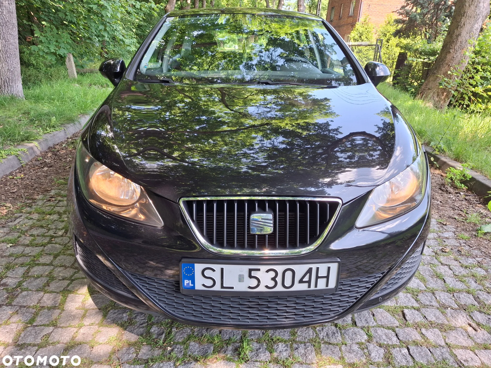 Seat Ibiza - 24