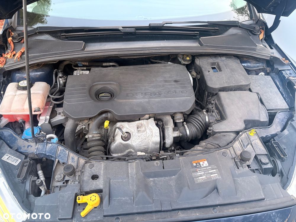 Ford Focus - 10