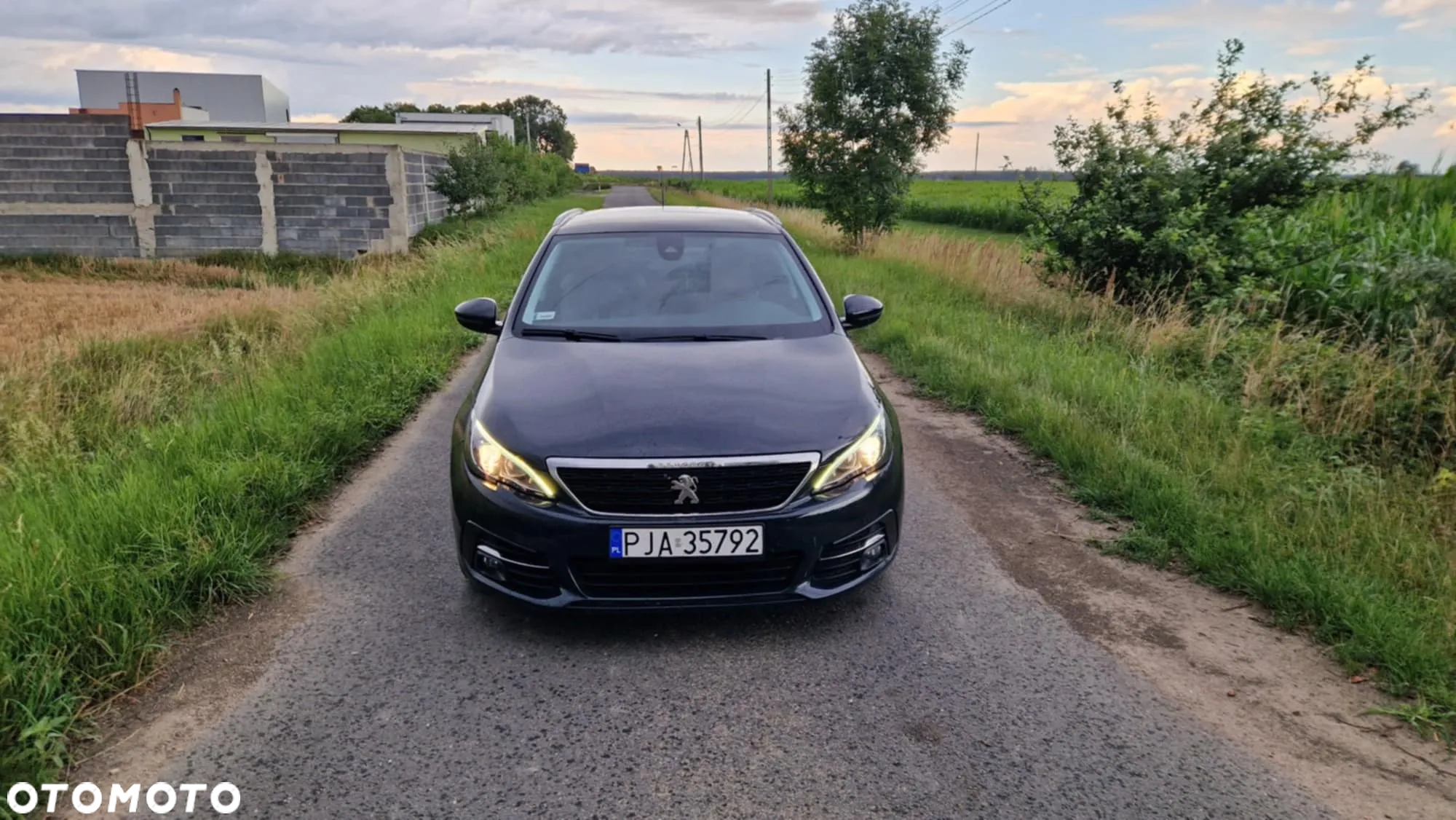 Peugeot 308 1.6 BlueHDi Business Line S&S - 10