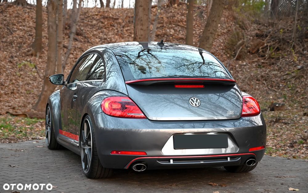 Volkswagen Beetle - 23