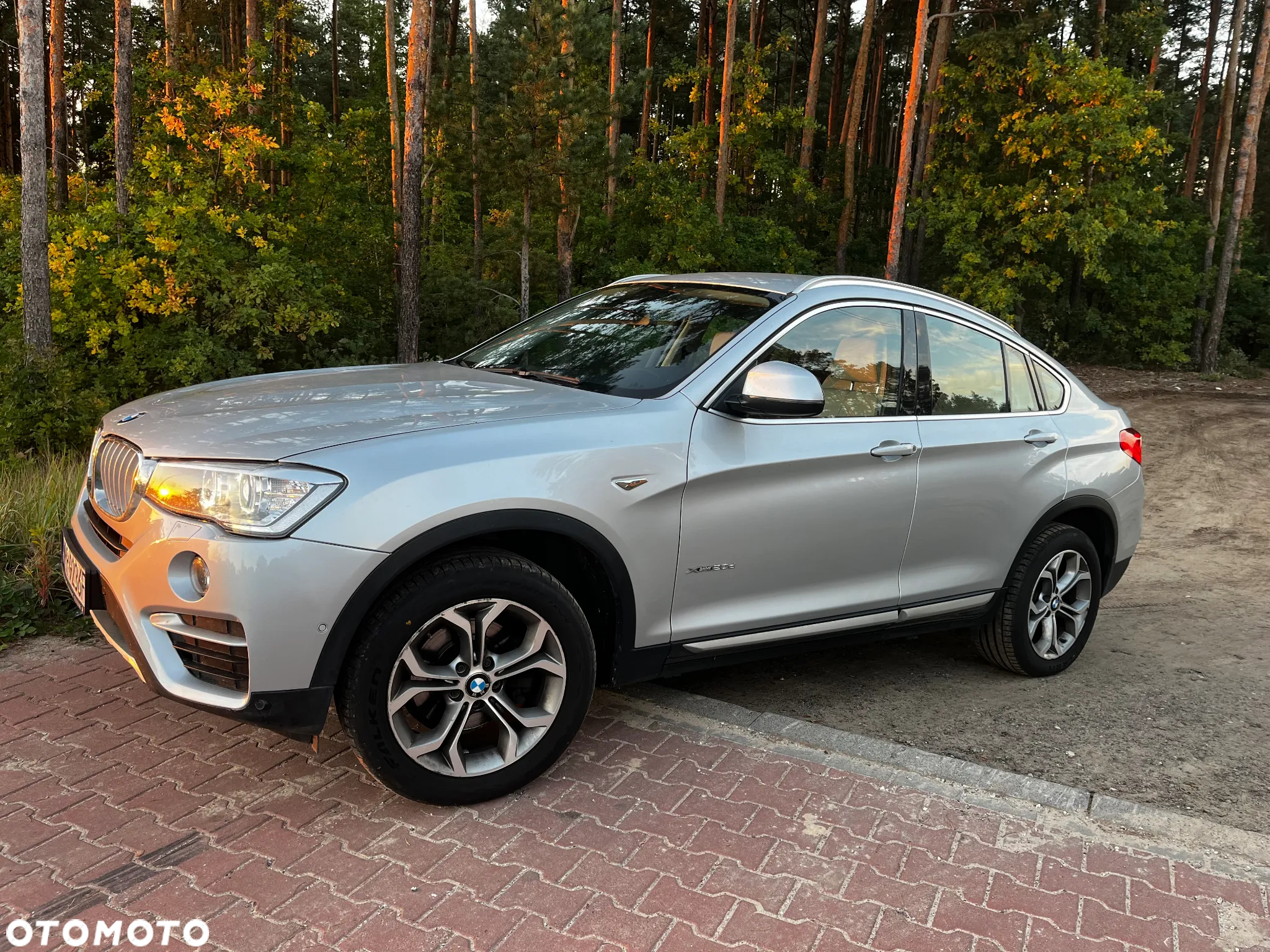 BMW X4 xDrive20d xLine - 4