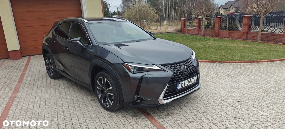 Lexus UX 200 GPF Business 2WD - 7