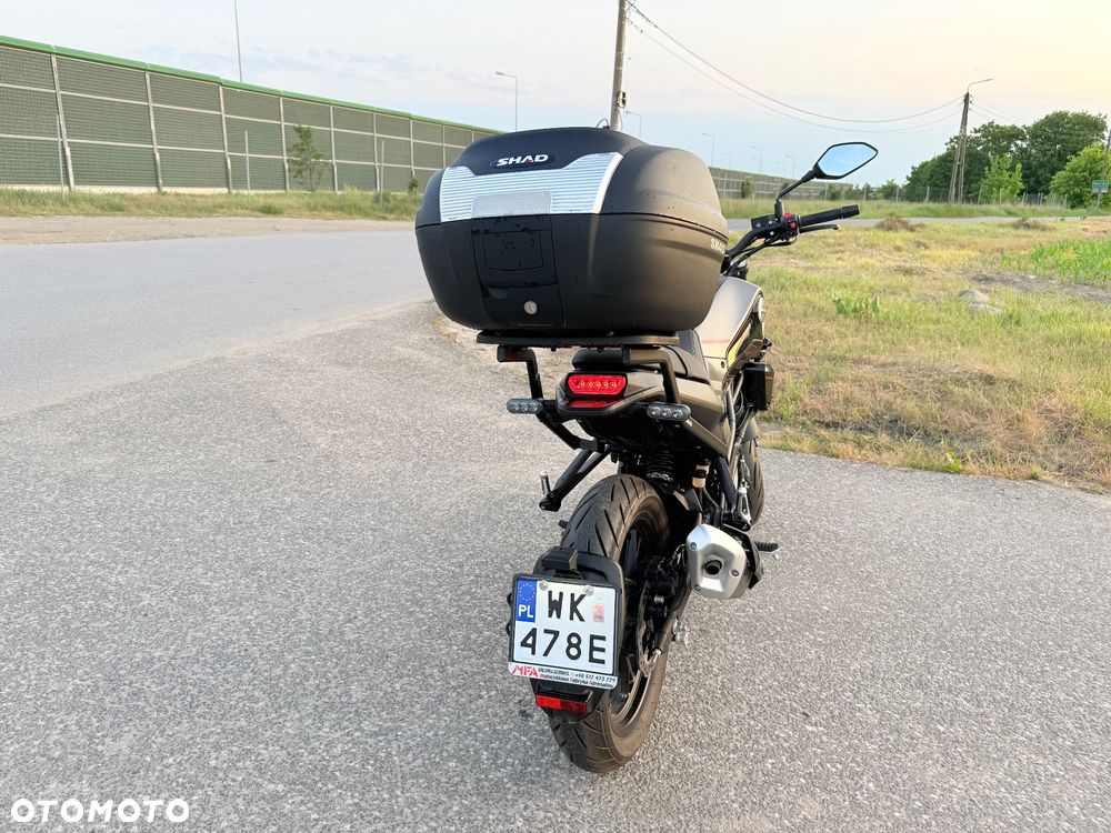 Benelli Leoncino - 15