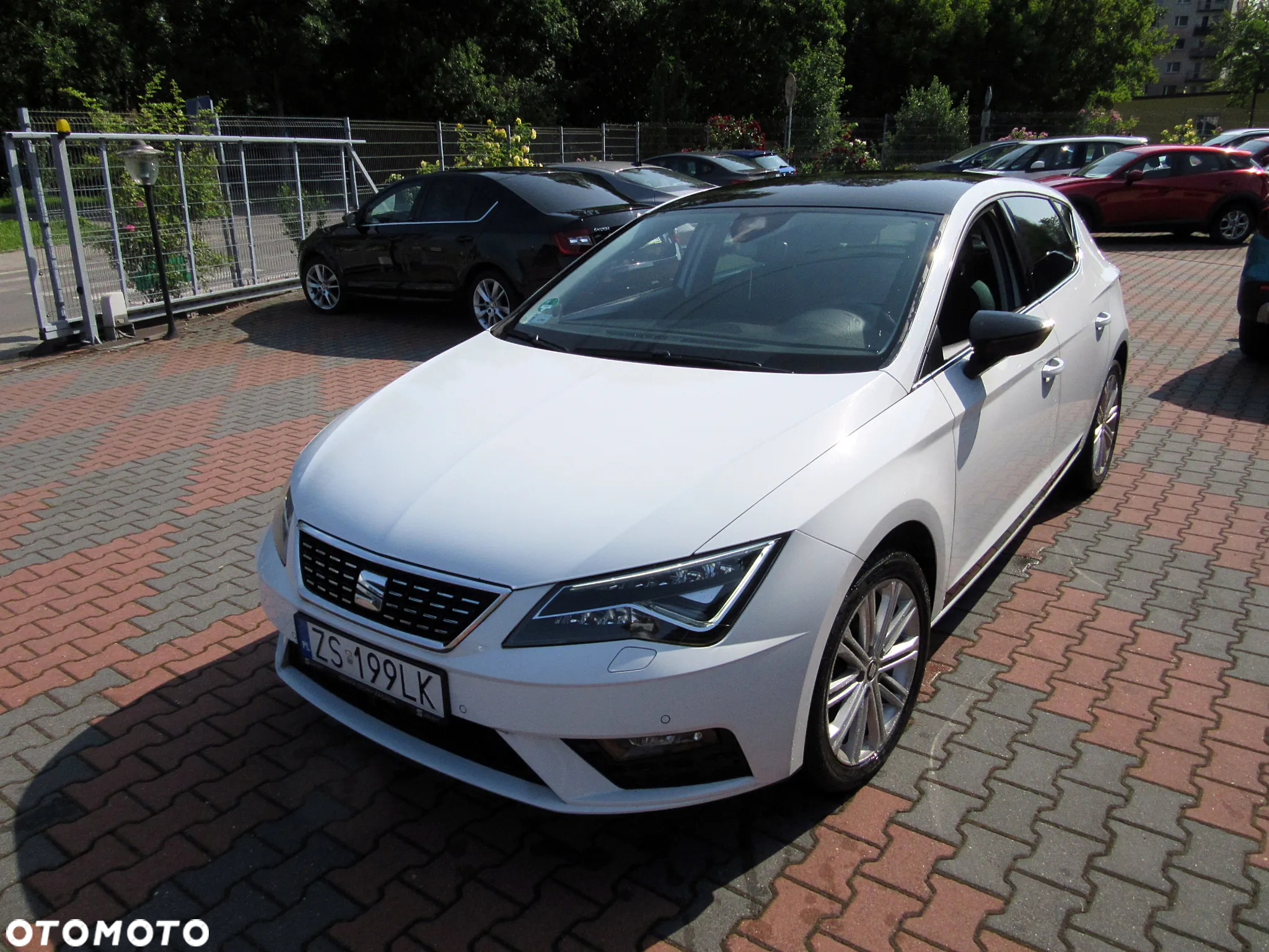 Seat Leon 1.5 EcoTSI Evo FR Black S&S - 3