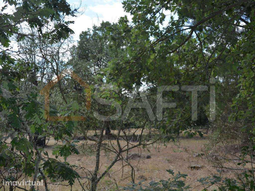 Terreno à venda em Casal Cinza - Grande imagem: 4/25