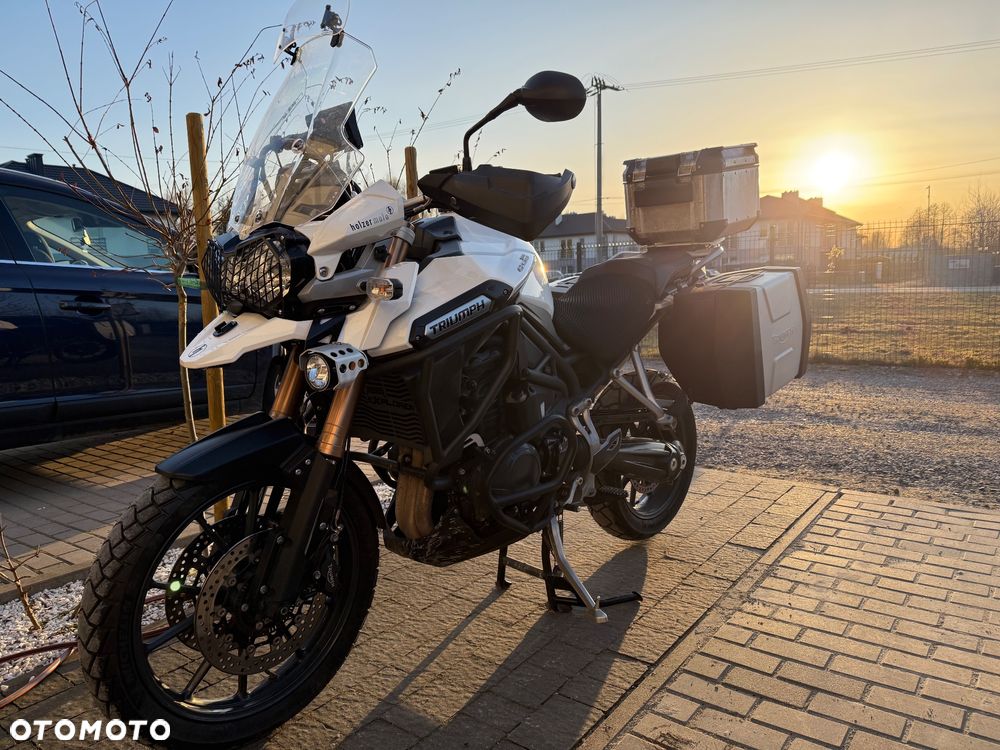 Triumph Tiger - 1