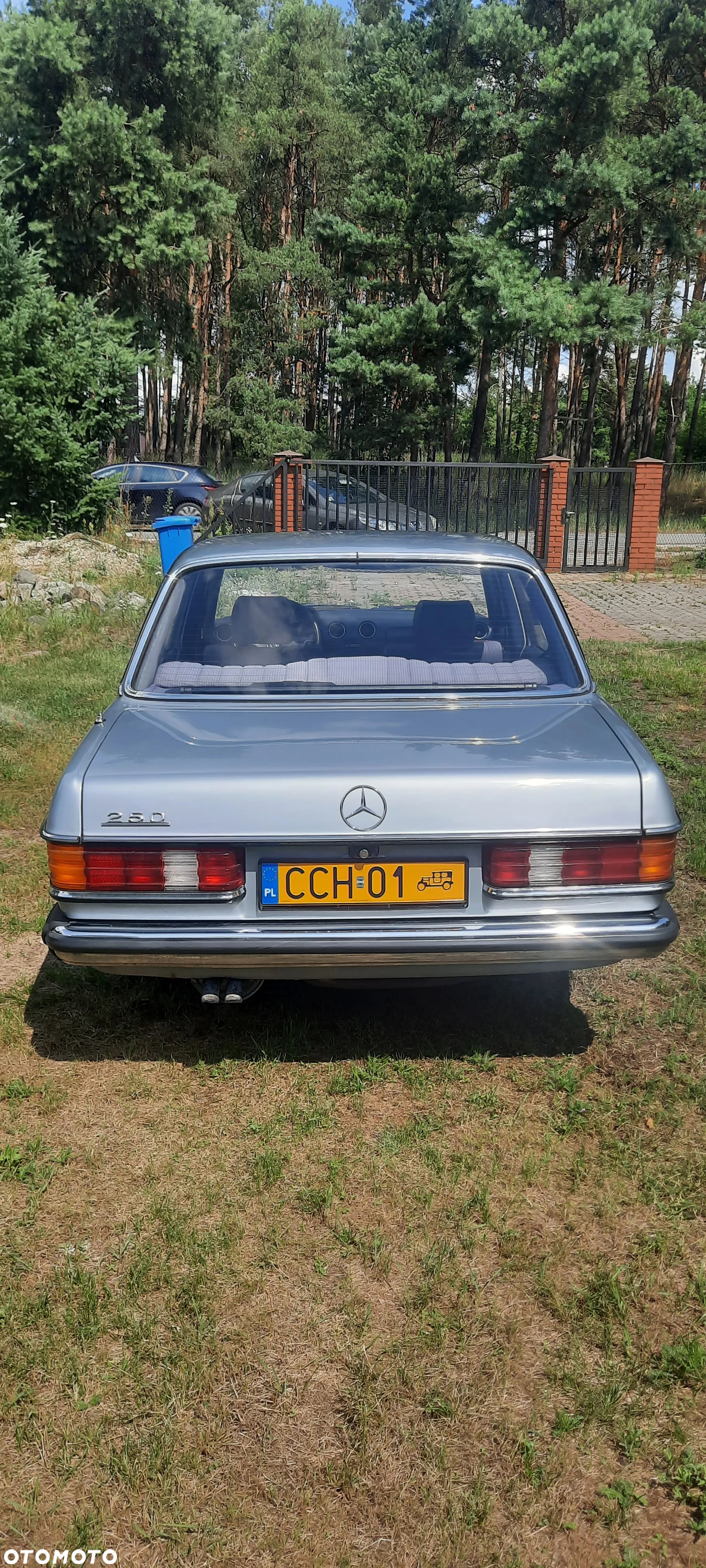Mercedes-Benz W123 - 7