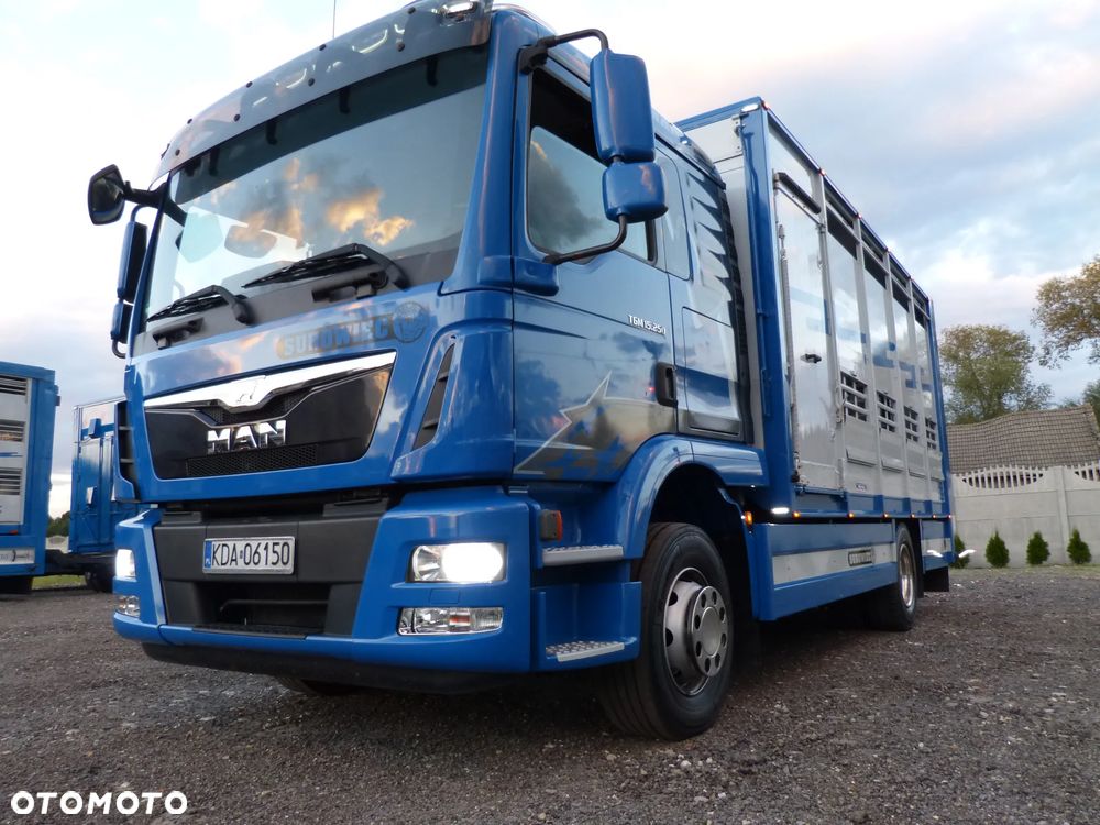 MAN TGM 15.250 DO ŻYWCA / ZWIERZĄT / BYDŁA / WAGA EL/. EURO 6 / DŁ. 5.20M /XENON - 10