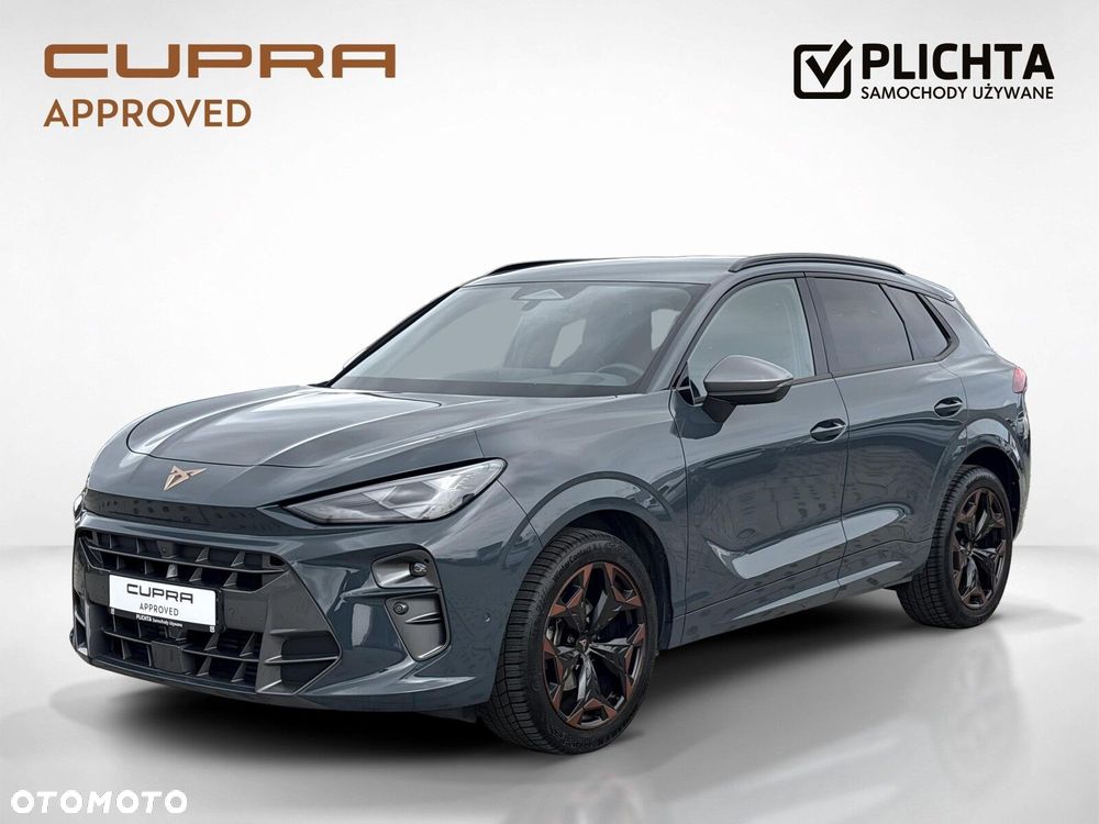 Cupra Terramar - 2