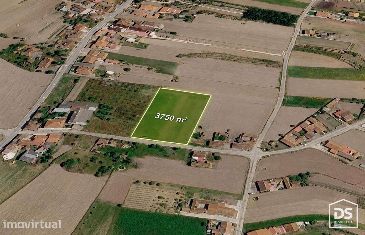 Terreno  Venda em Louriçal,Pombal - Grande imagem: 2/2