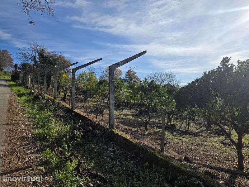 Propriedade Urbana com 8.700m² – Privacidade Total - Grande imagem: 4/4