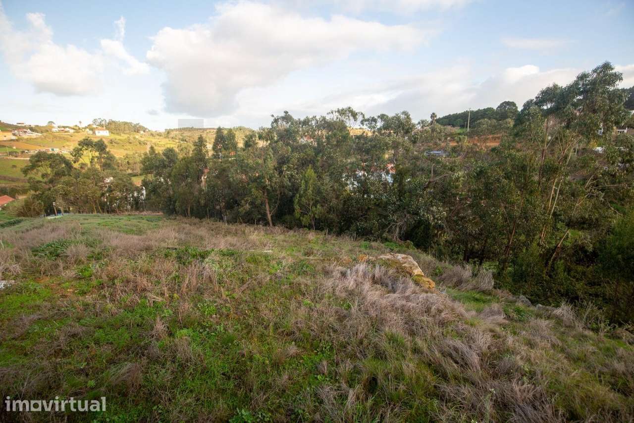 Moradia Espaçosa Próxima da Ericeira — Privacidade, Conforto e Naturez - Grande imagem: 3/54