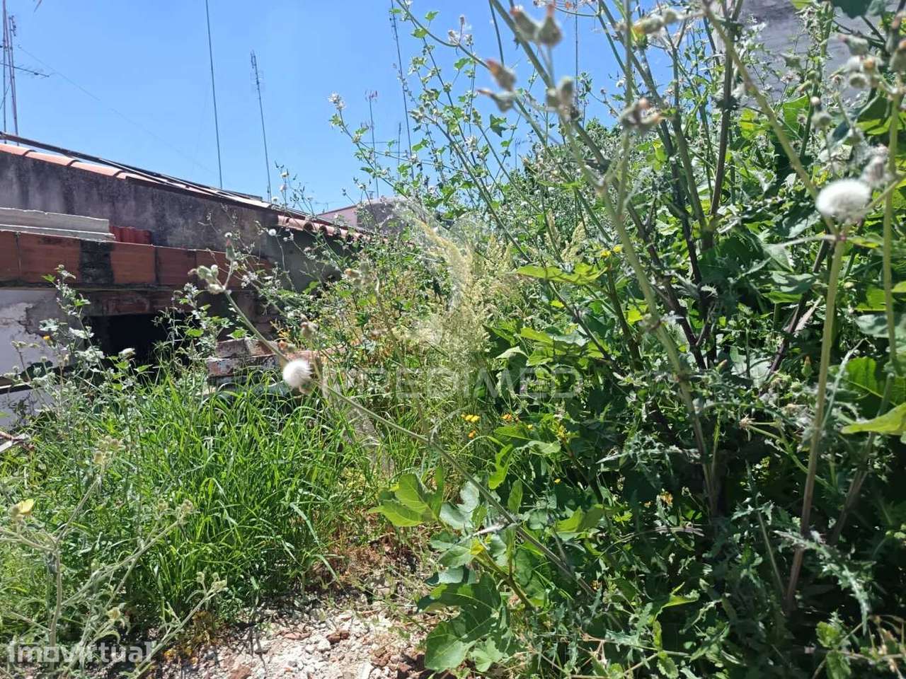 Oportunidade Única no Centro de Campo Maior – Moradia para Recupera... - Grande imagem: 3/38