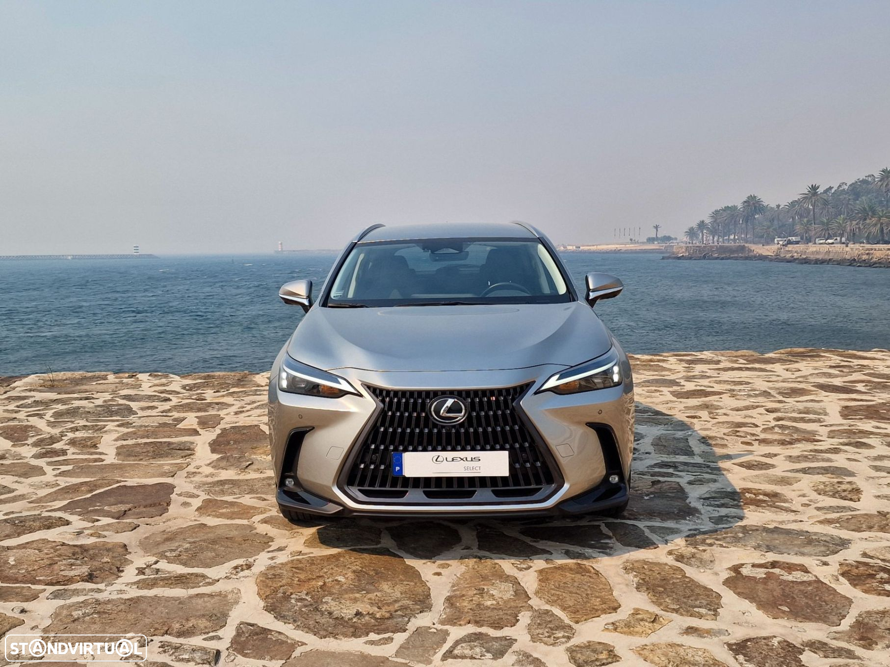 Lexus NX 450h+ - 10