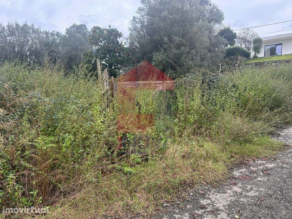 Terreno agrícola, Vilarinho - Grande imagem: 5/10