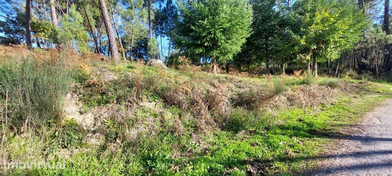 Terreno para Construção Soutulho - Viseu - Grande imagem: 4/11