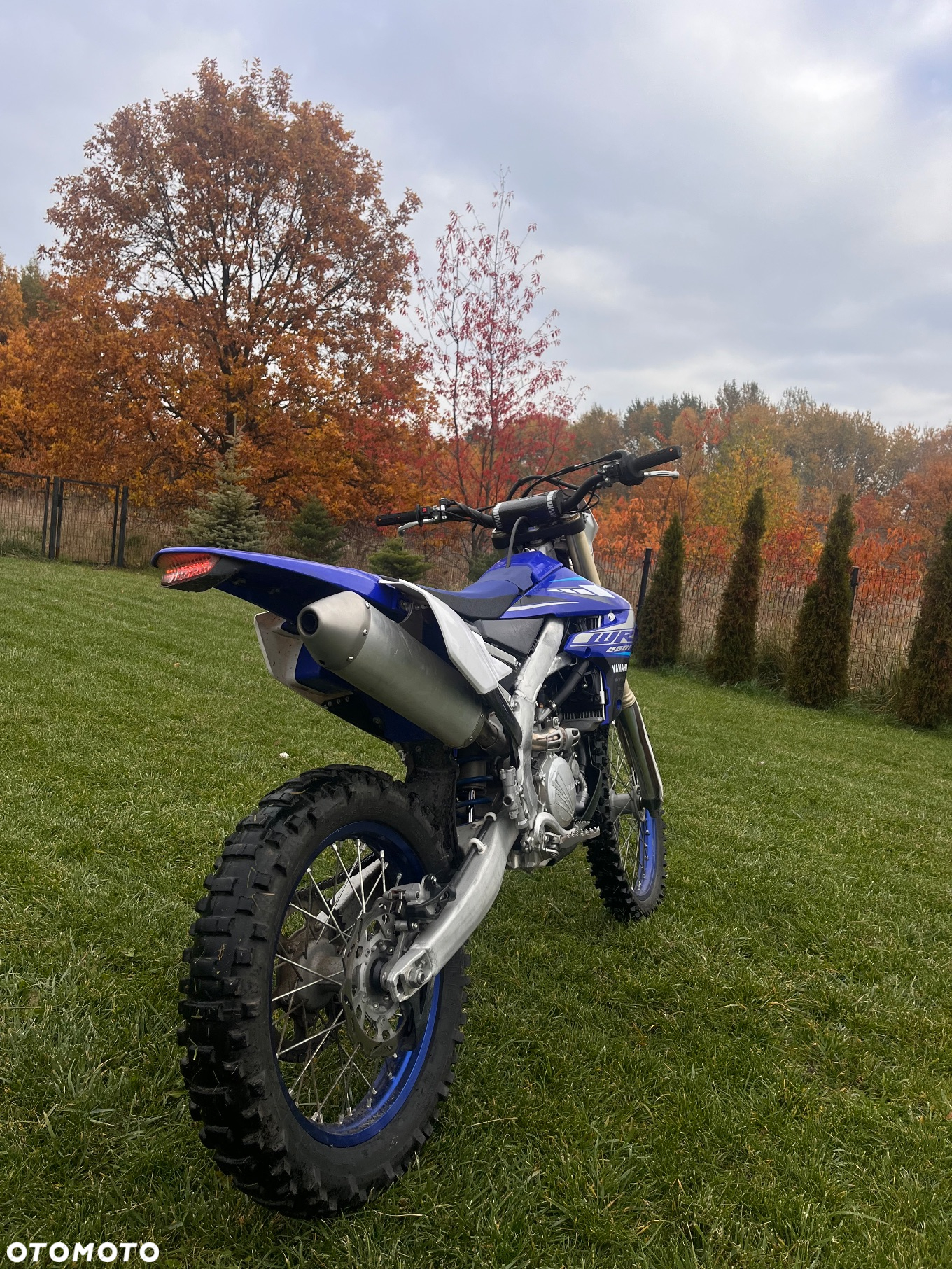 Yamaha WR