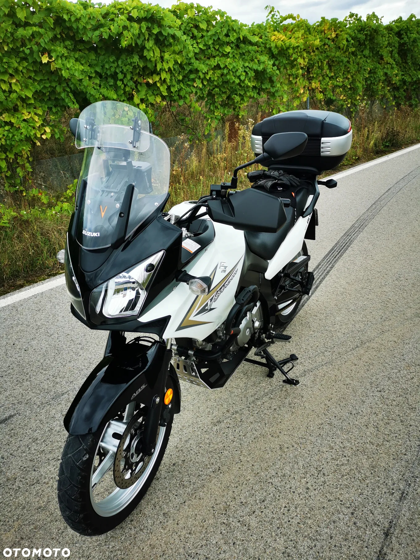 Suzuki DL - 3