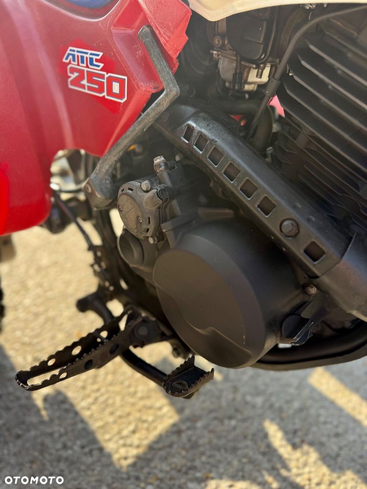 Honda FourTrax - 8