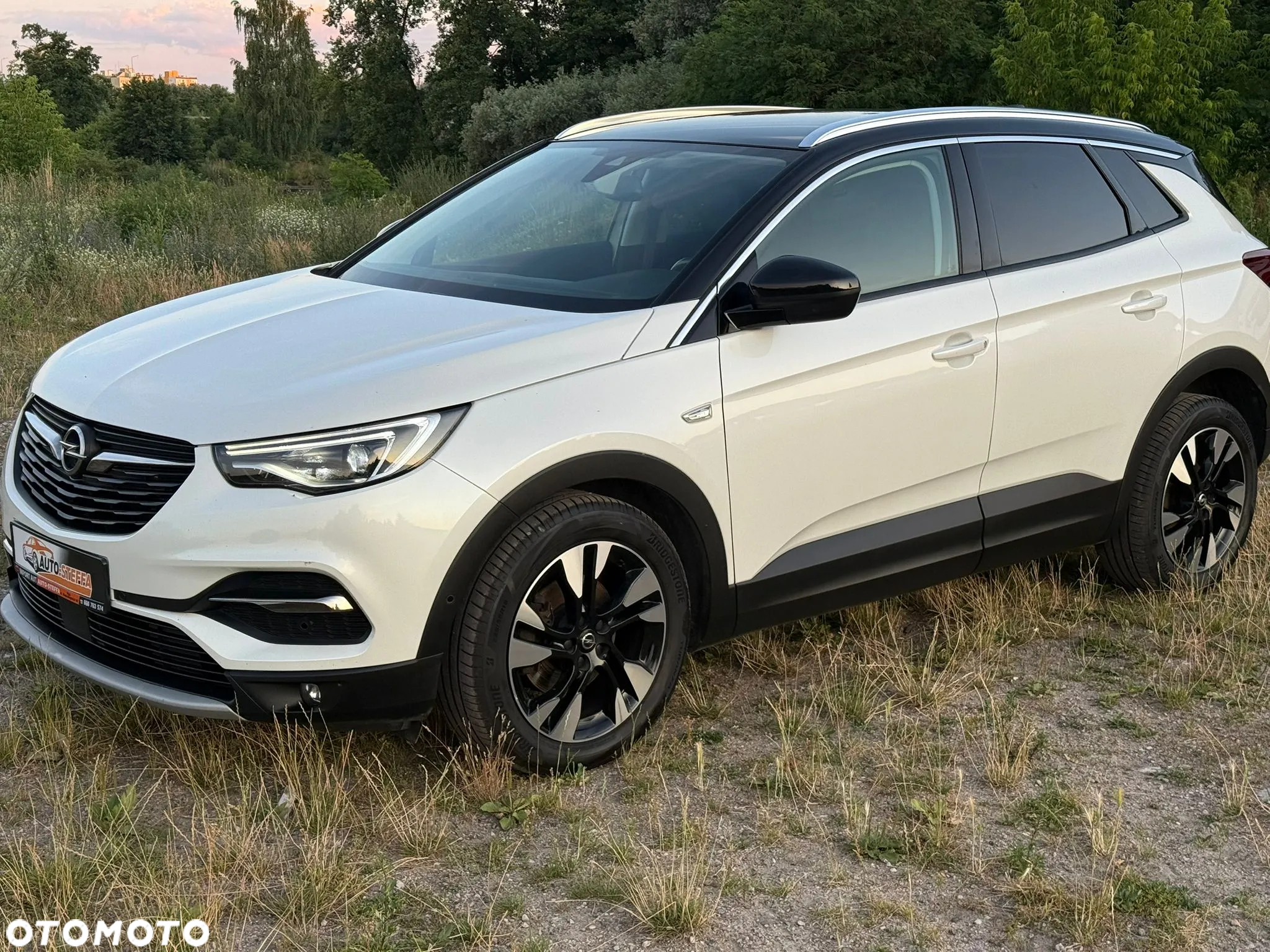 Opel Grandland X 1.5 D Start/Stop Edition - 10