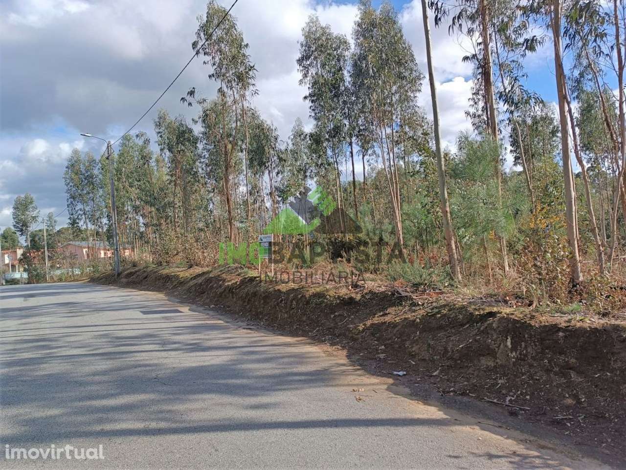Terreno p/ construção em Guisande (5500 m2) - Grande imagem: 3/11
