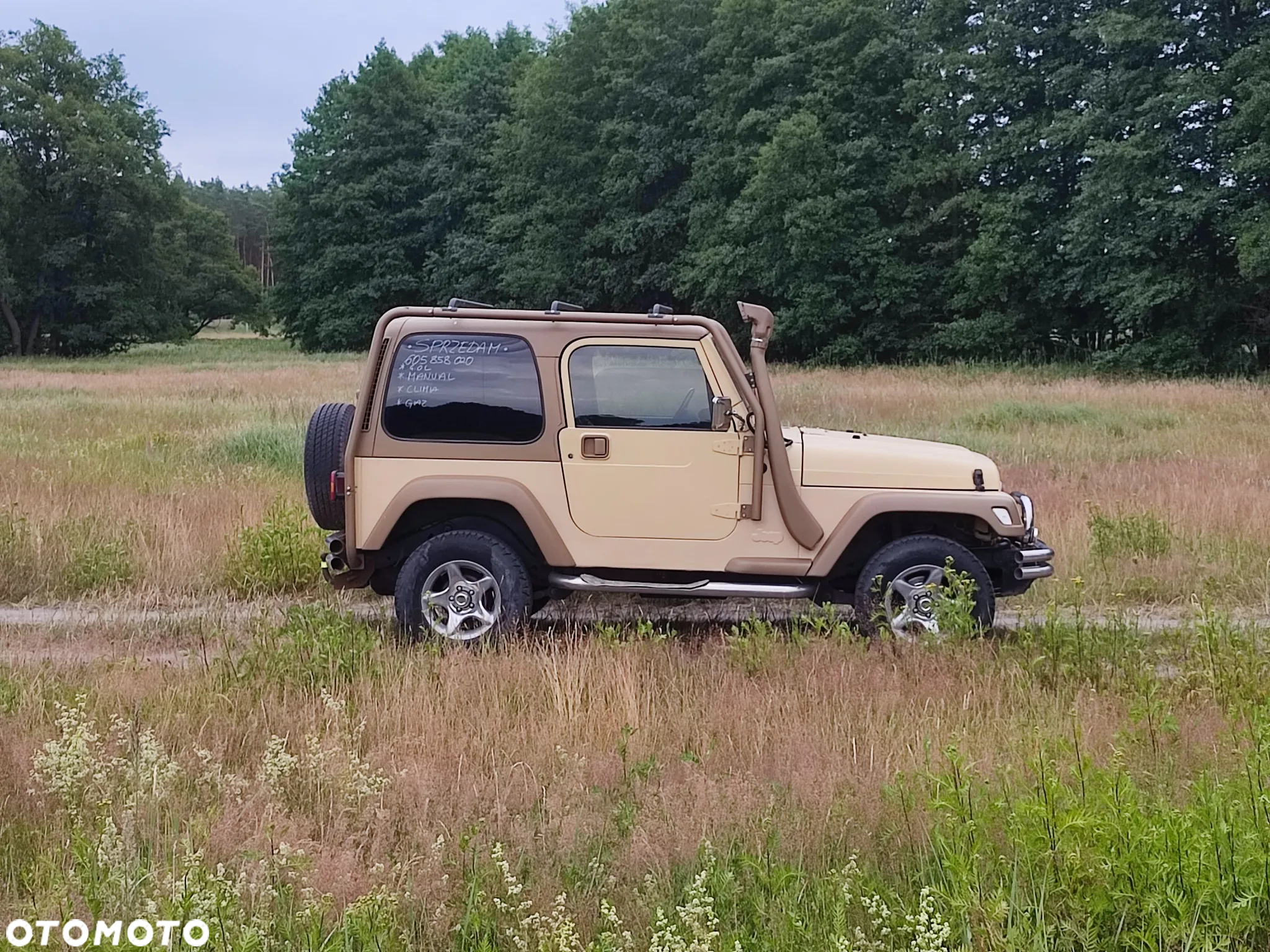 Jeep Wrangler 4.0 Sport - 4