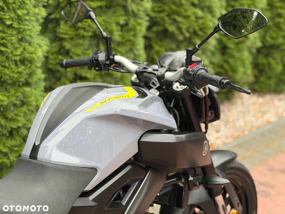Yamaha MT - 14