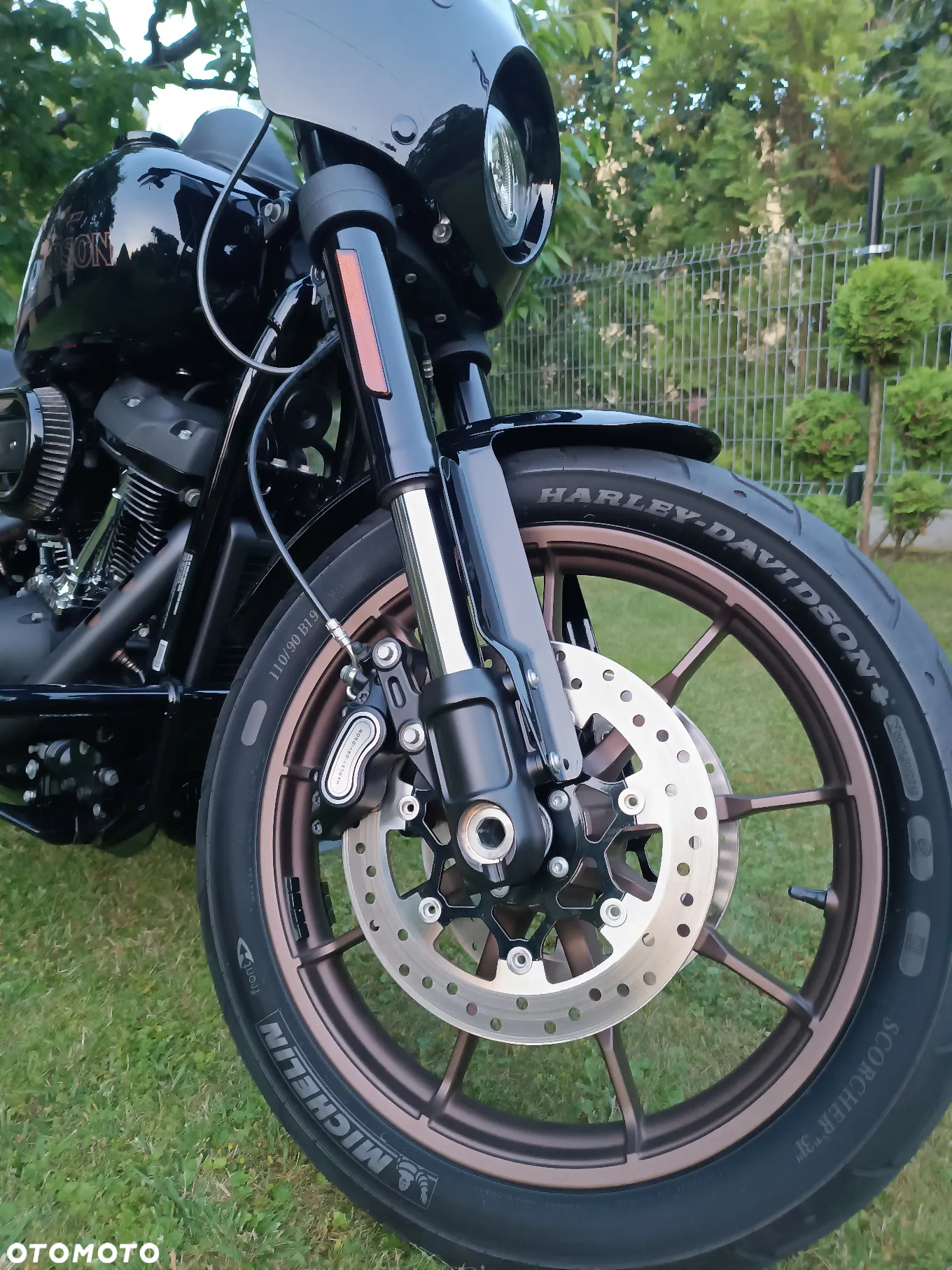Harley-Davidson Softail Low Rider - 6