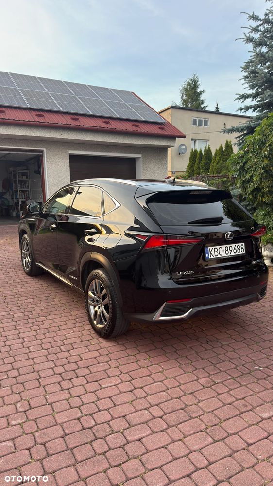 Lexus NX 300h Elegance + Business AWD - 4