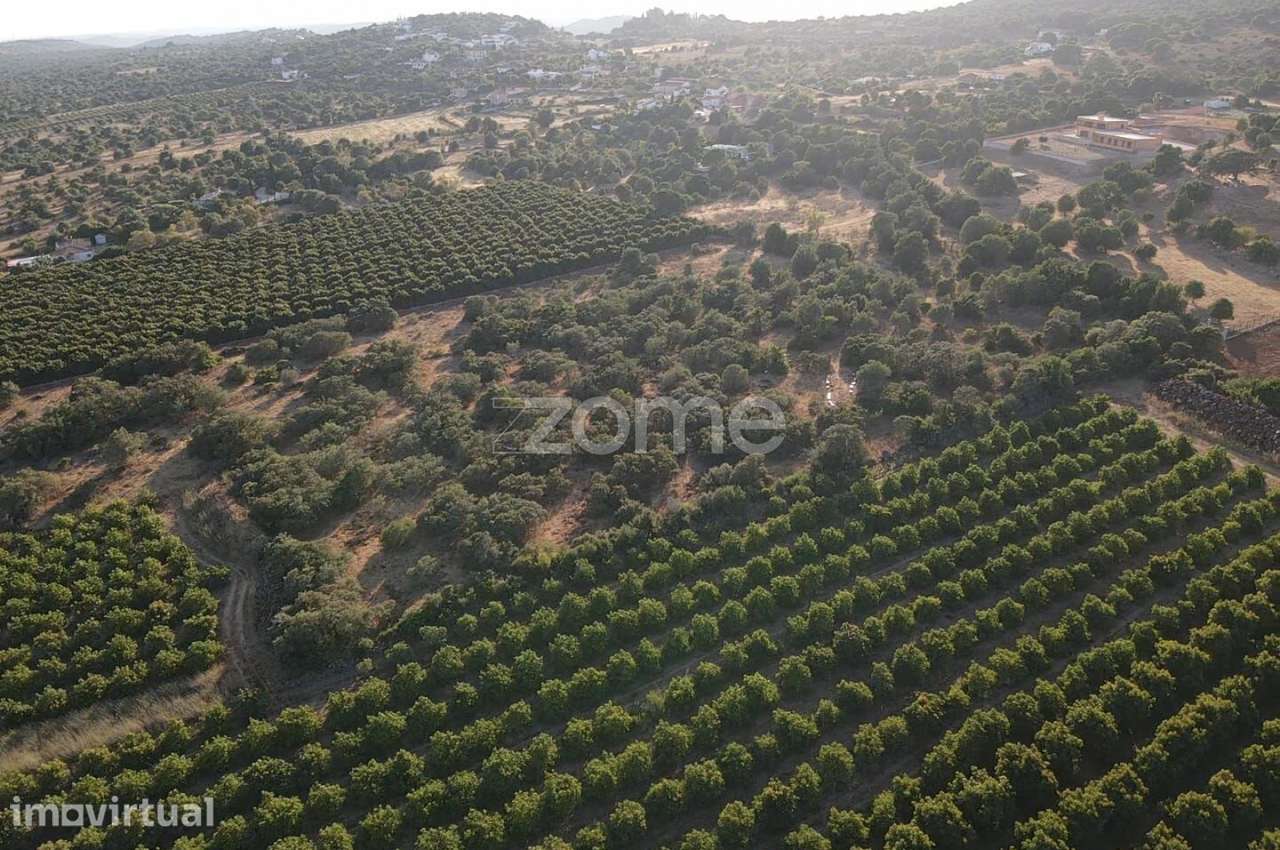 Terreno Rústico em Barrocal das Cortes c/ 16.000m2, Messines - Grande imagem: 3/17