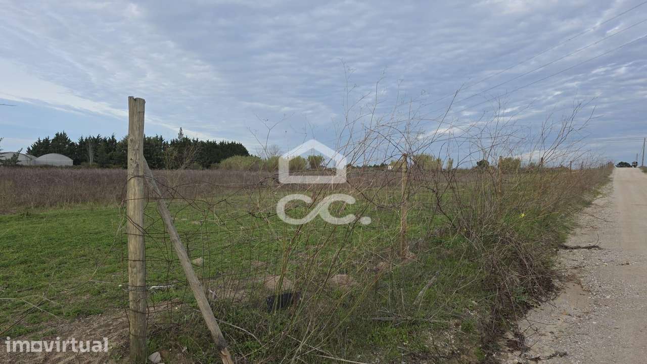 Terreno com Vista Privilegiada para o Castelo de Palmela, em Lau, Arei - Grande imagem: 5/15