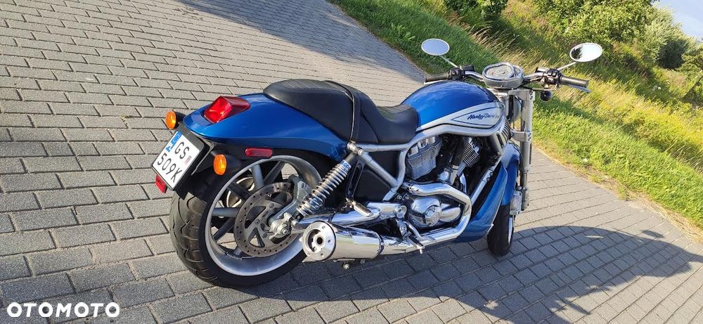 Harley-Davidson V-Rod Street Rod - 8