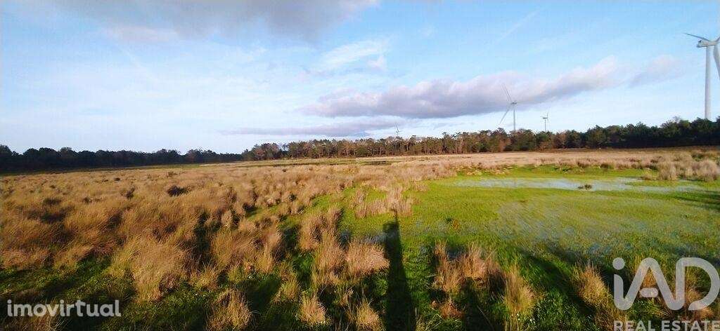 Terreno T1 em Vila do Bispo e Raposeira de 17850,00 m2 - Grande imagem: 3/8