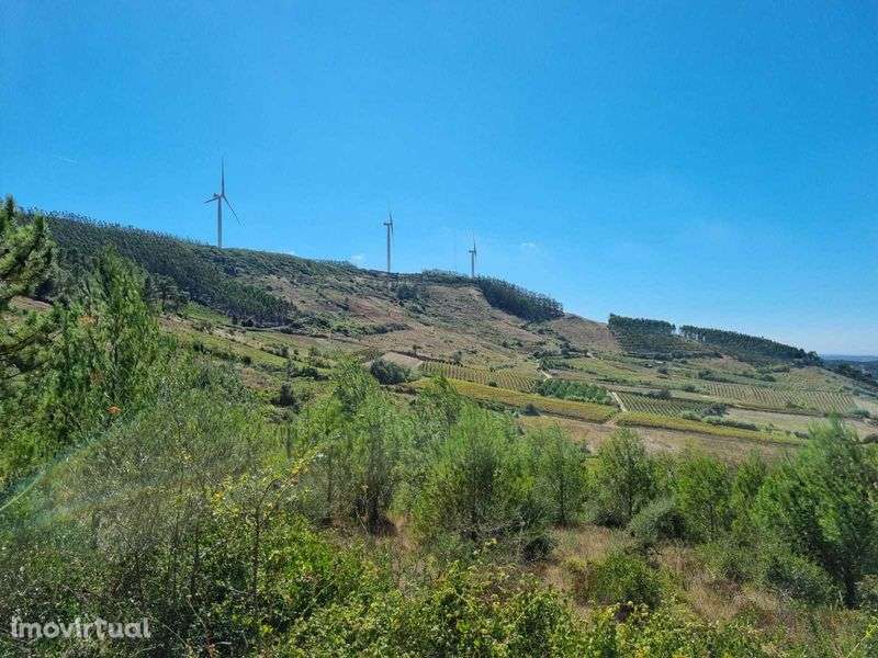 Terreno agricola e florestal - 2€/m2 - Grande imagem: 4/8